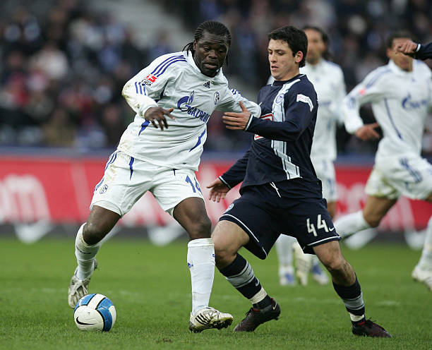 也是中国举 也是中国举